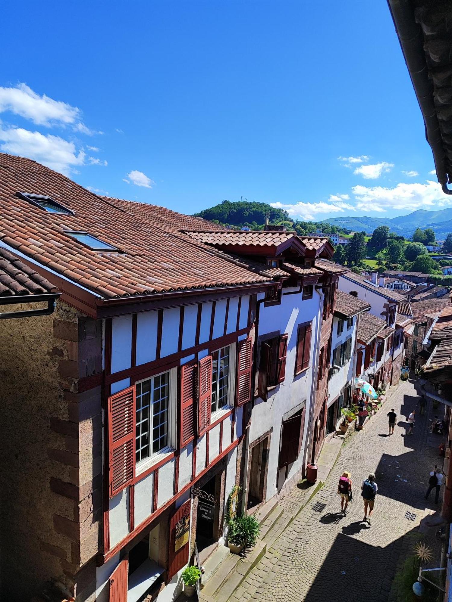 L'Auberge Du Pelerin - St Jean Pied De Port Saint-Jean-Pied-de-Port Buitenkant foto