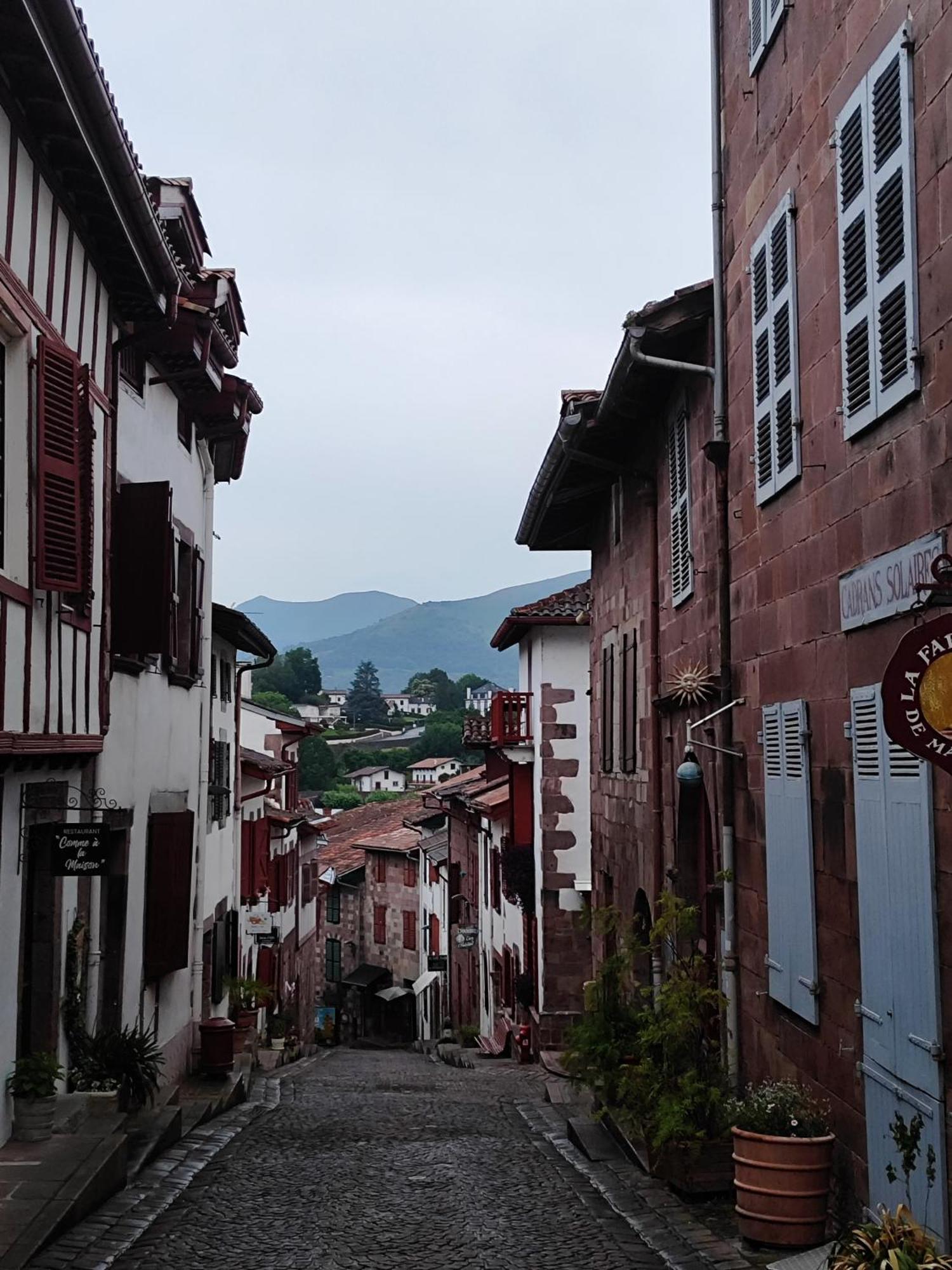 L'Auberge Du Pelerin - St Jean Pied De Port Saint-Jean-Pied-de-Port Buitenkant foto
